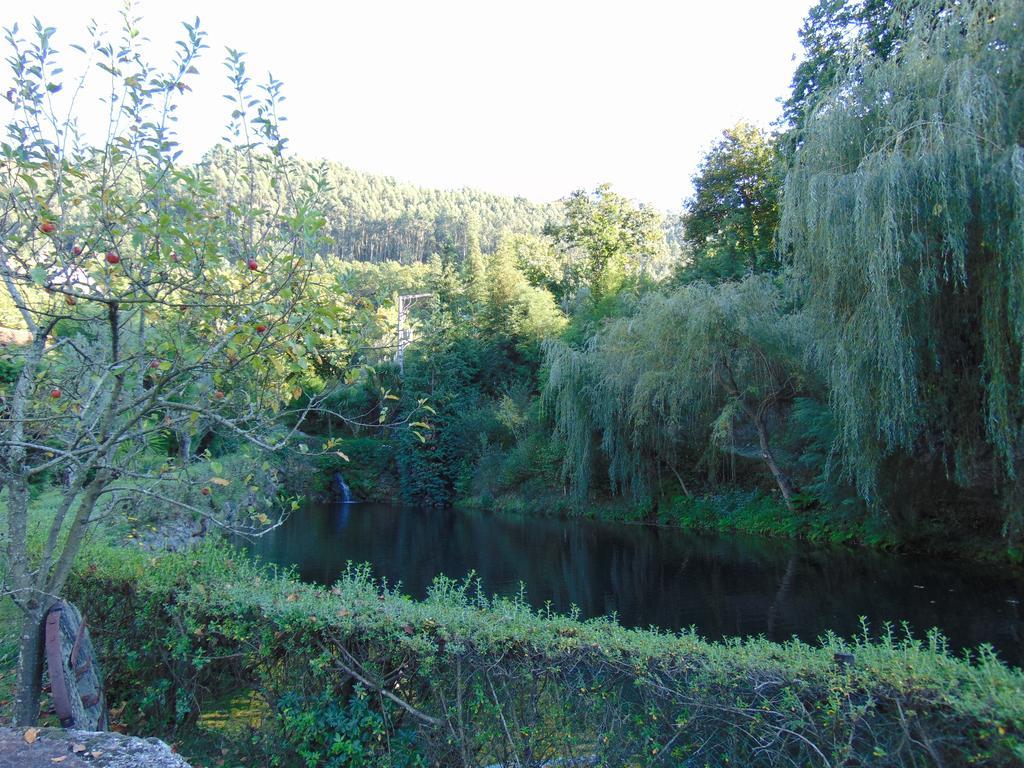 Вілла Quinta De Barbedo Канісада Екстер'єр фото